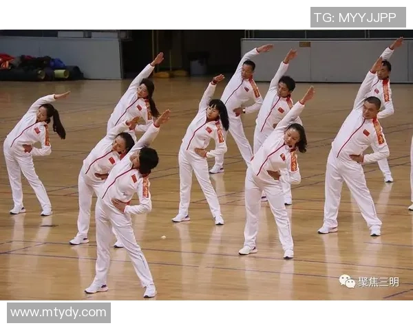 聚焦本土联赛与运动员的深度原创内容探索与分享专栏